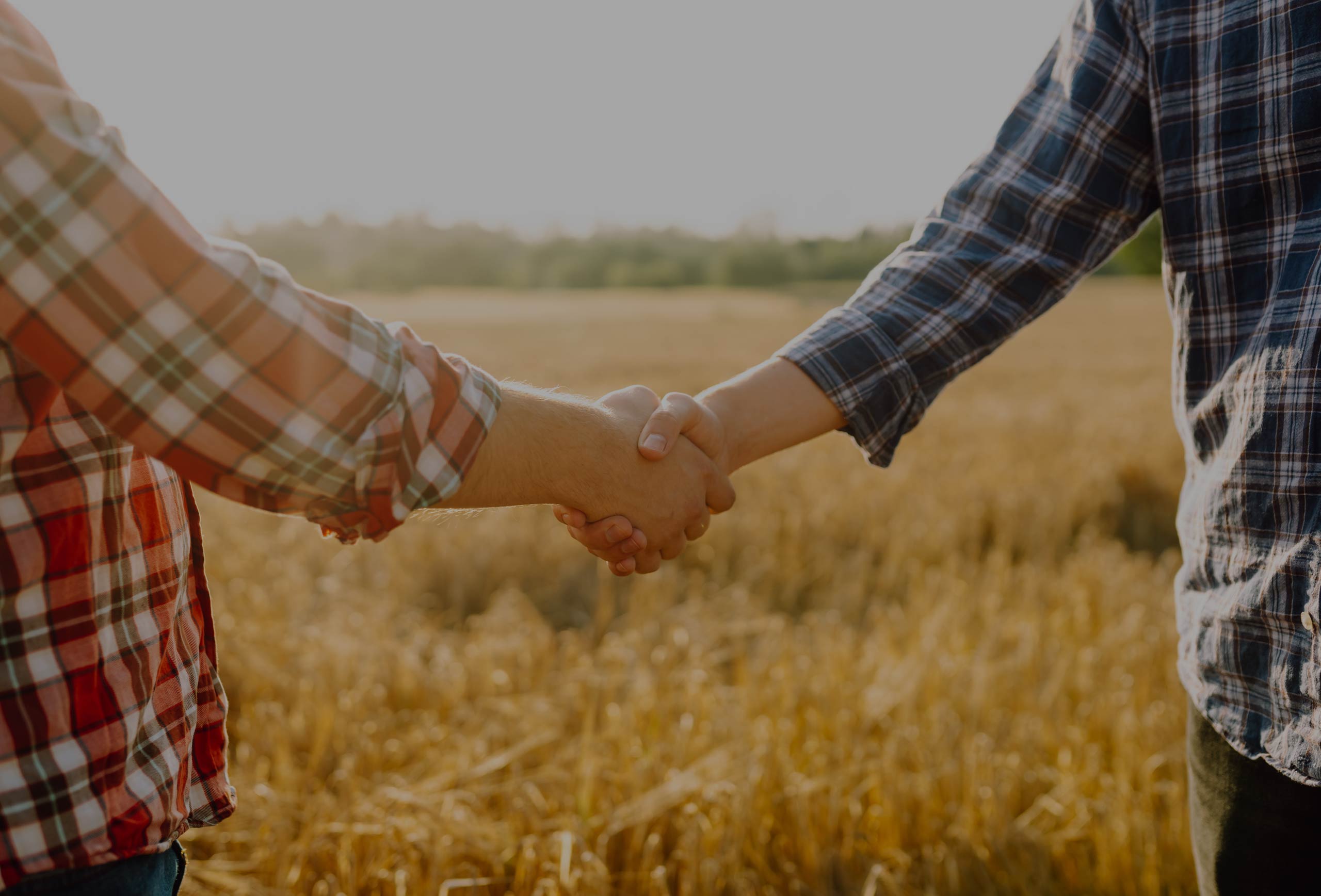 A Family-Owned Mineral Buying Company You Can Trust