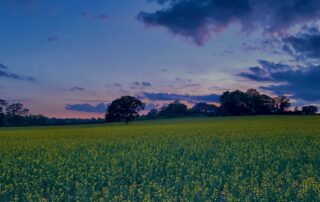 Mineral Rights Fundamentals