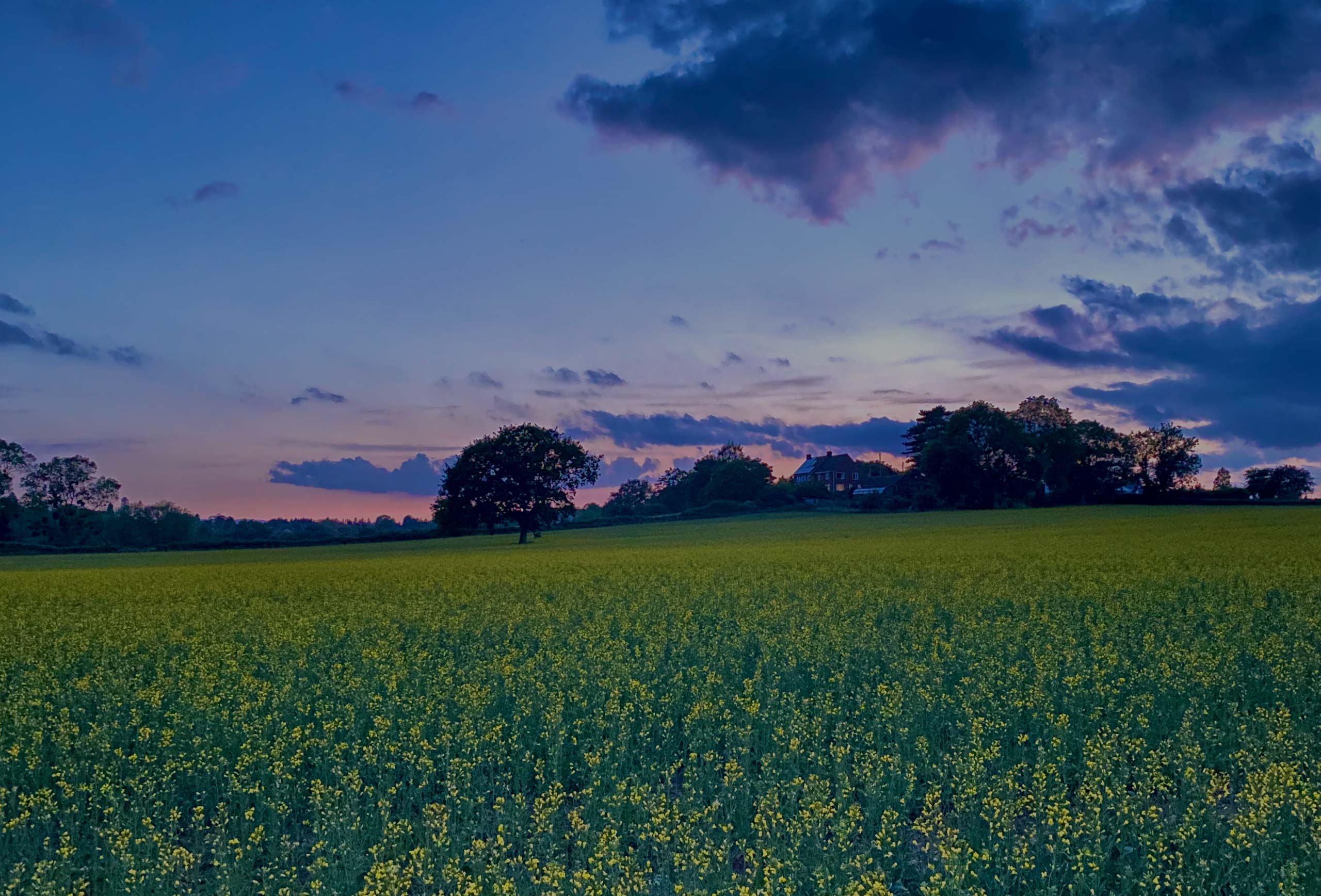 Mineral Rights Fundamentals