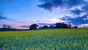 Mineral Rights Fundamentals