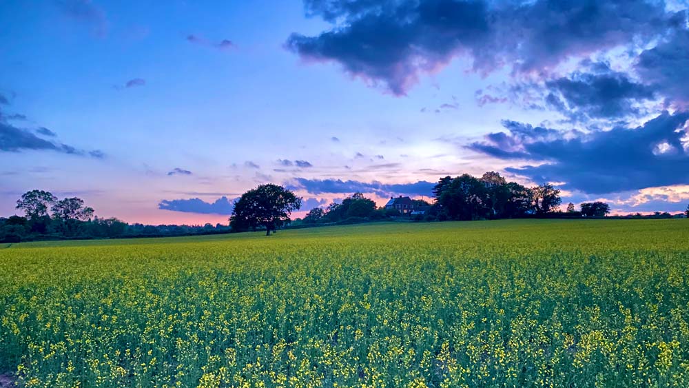 Mineral Rights Fundamentals